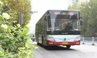 沧州公交车爆料事件最新,事件真相与公众关注的焦点解析