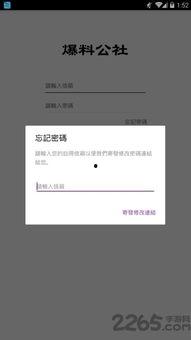 台湾爆料公社视频下载,视频下载背后的真相与争议