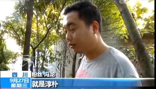 顾城前妻爆料视频播放,揭秘诗人背后的真相 第2张 顾城前妻爆料视频播放,揭秘诗人背后的真相 第2张